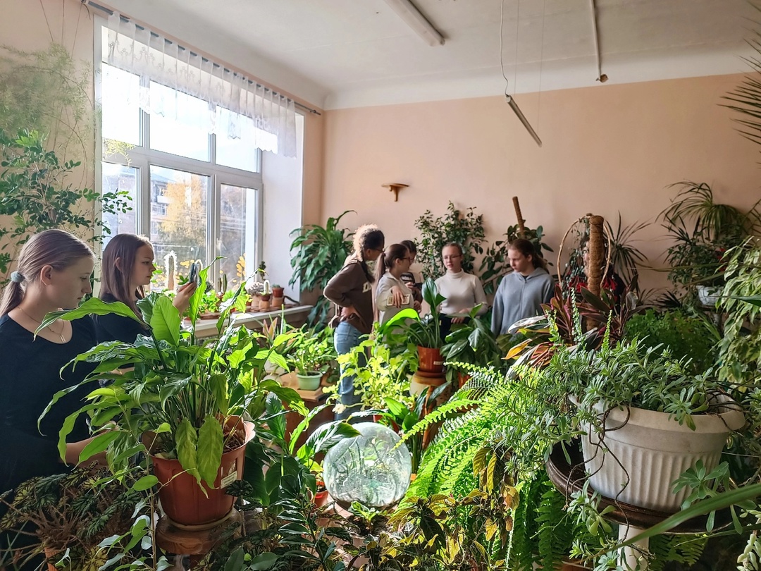 Моя первая профессия