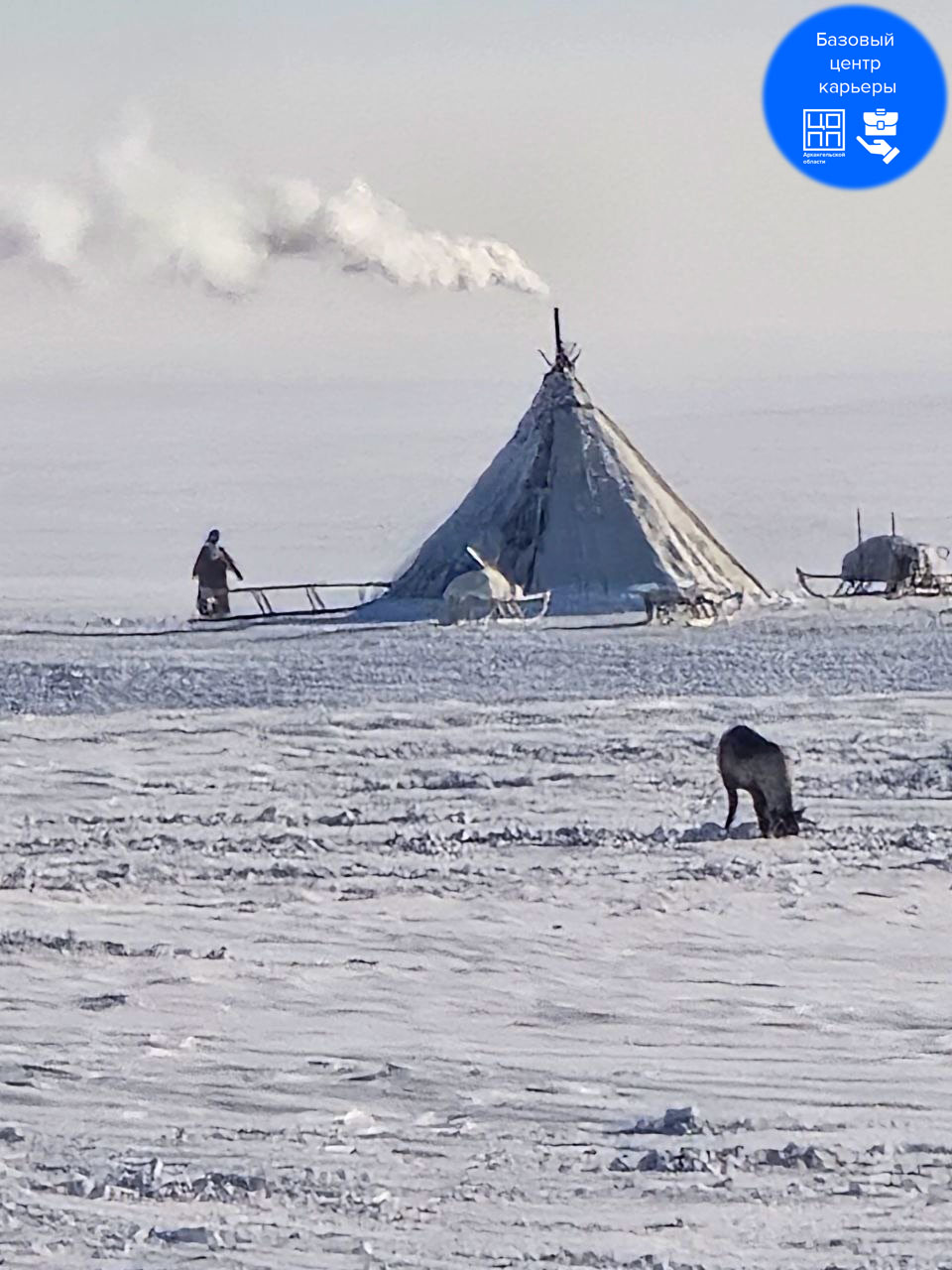 Базовый центр карьеры
